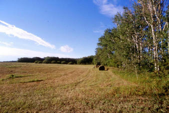 #1: The view south from the confluence.