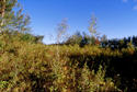 #3: The view north from the confluence.