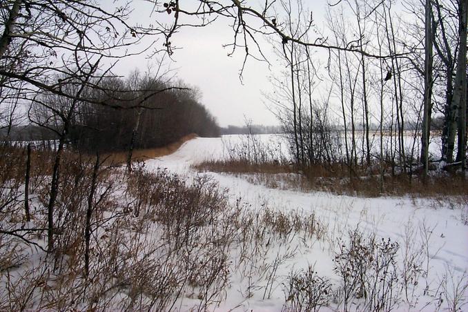 View East.