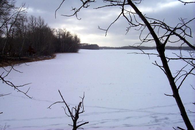 Looking South from the confluence.