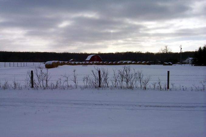 The farm located 800 m directly south of the confluence.