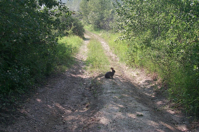 The trail we followed from the highway where we had parked the van.