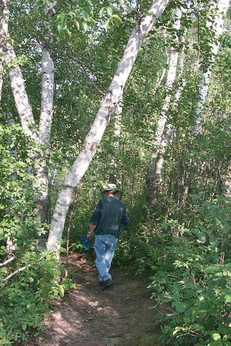 Heading back through the trees.