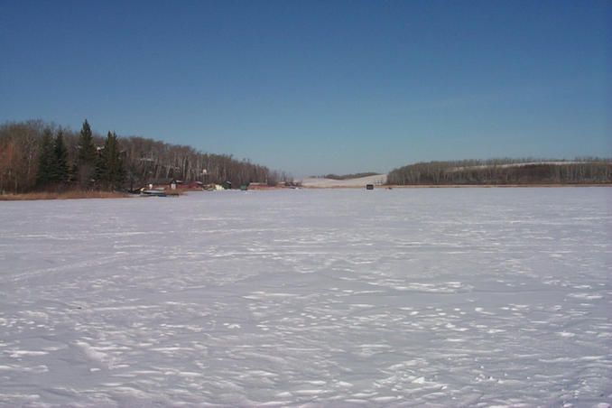 Looking north from the confluence.