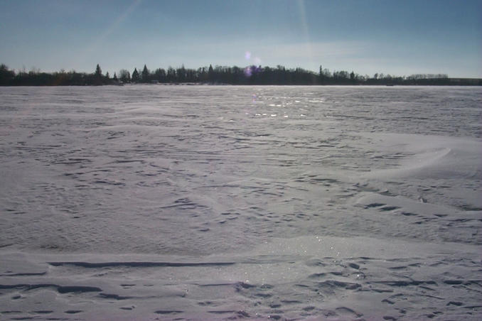 Looking south from the confluence.