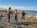 #4: Sea Gull Island Assault