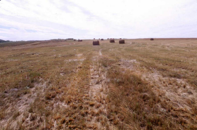 The view south from the confluence.