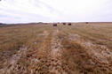 #3: The view south from the confluence.