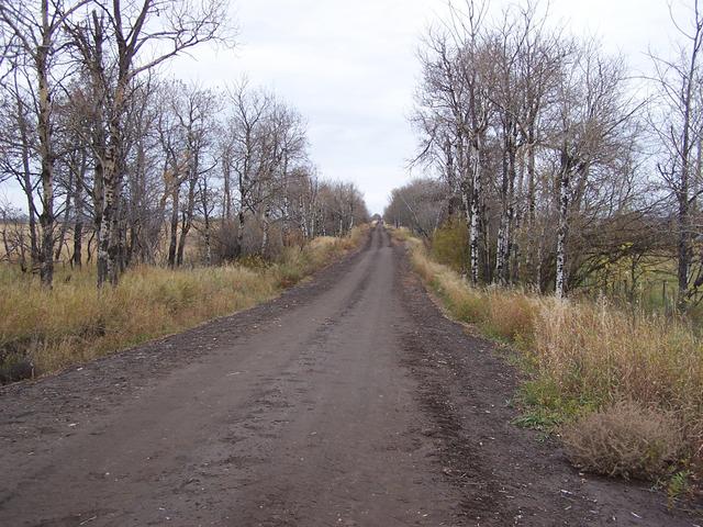 The road to the confluence - looking North on our way out.