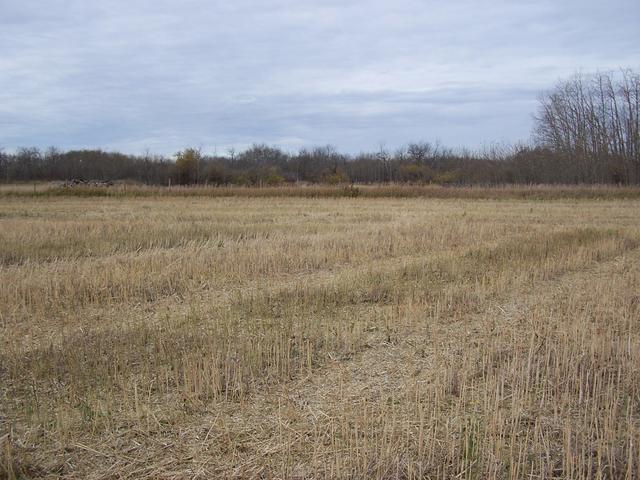 Looking West from the confluence.