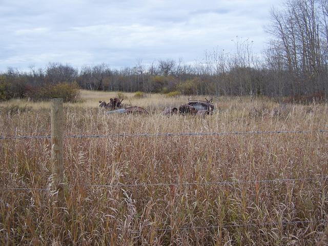 The old Nash truck, about 50 meters West of the confluence.