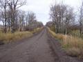 #10: The road to the confluence - looking North on our way out.