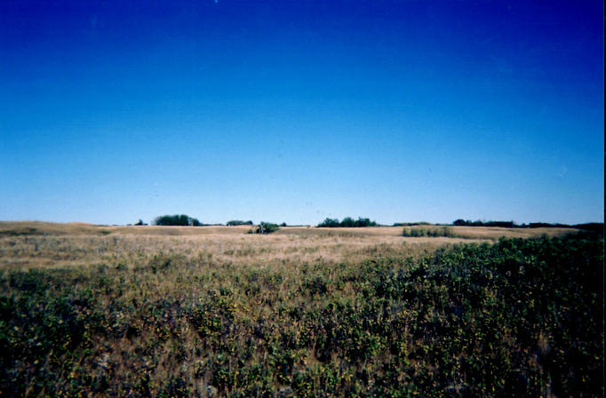 Looking east from the confluence