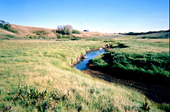 Creek near confluence, dry in places