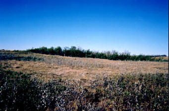 #1: Looking north from the confluence