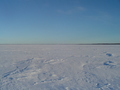 #4: East View