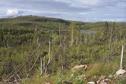 #8: The view NE from the highway, approximately 750 m from the confluence.