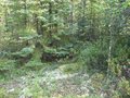 #3: View to South