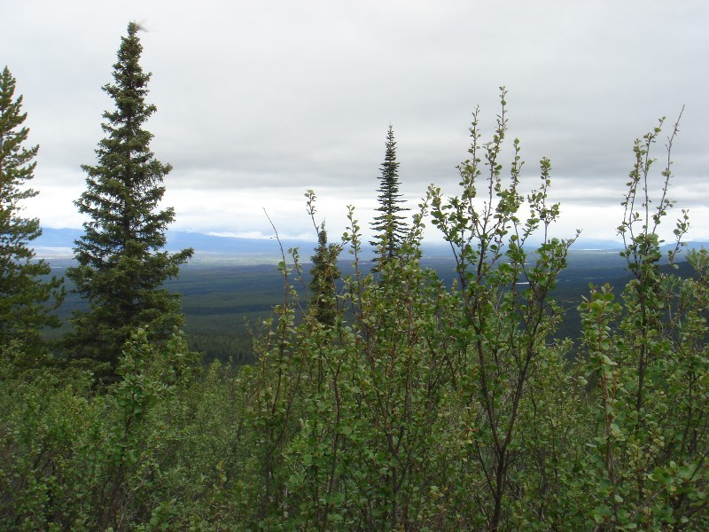 West view - Westliche Sicht