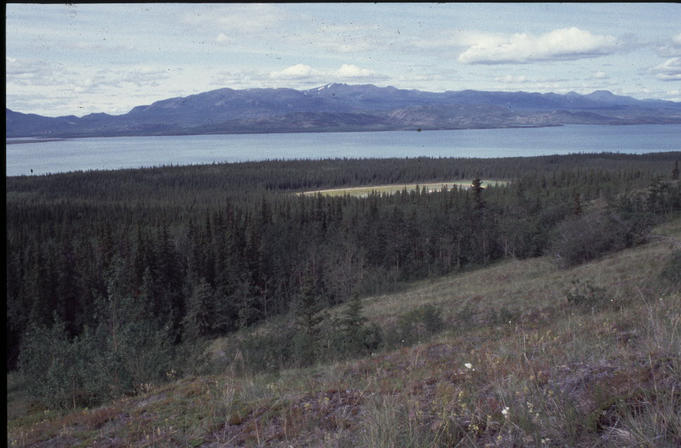 Heading alongside the 61st parallel