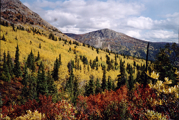 looking east from confluence point