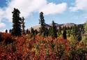 #3: looking north from confluence point