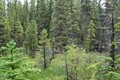 Visit #2: [09-Aug-07]