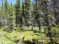 #3: View to the East