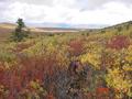 #2: Confluence looking north