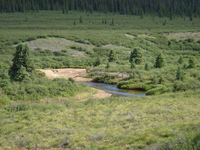 Small River to Victoria Lake / Kleiner Fluß zum Victoria See