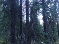 #2: View to the North
