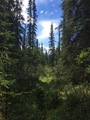 #9: Beautiful scenery on the hike