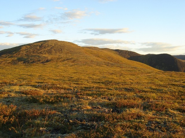 Typical way area on the high level over 1300 meters / Typisches Weggebiet