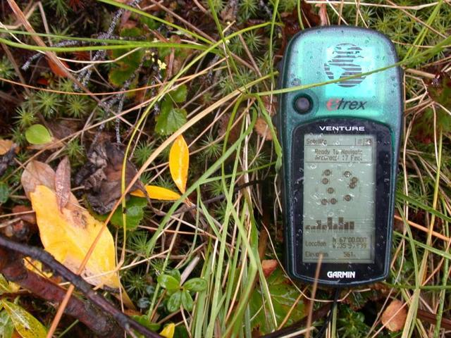 Confluence GPS amid Tundra Litter