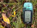 #4: Confluence GPS amid Tundra Litter