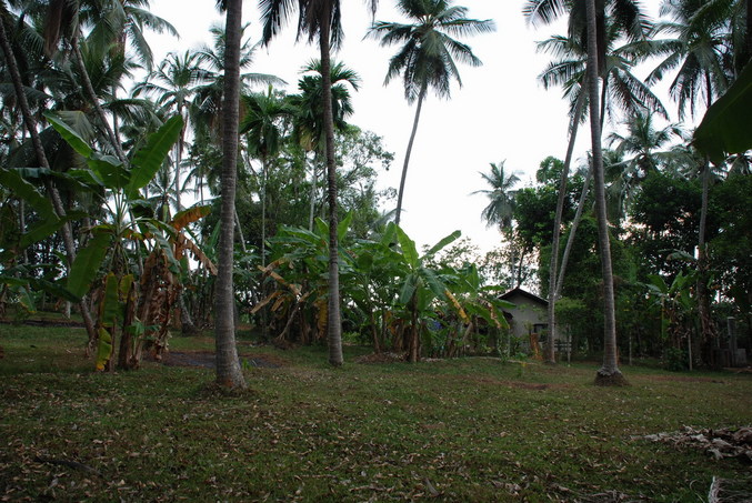 General view - Conflunece Point 20 meters away