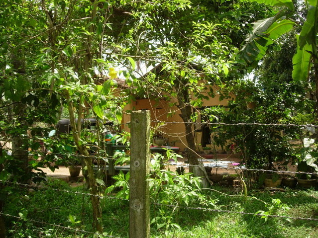 View to the South and overiview of the Confluence