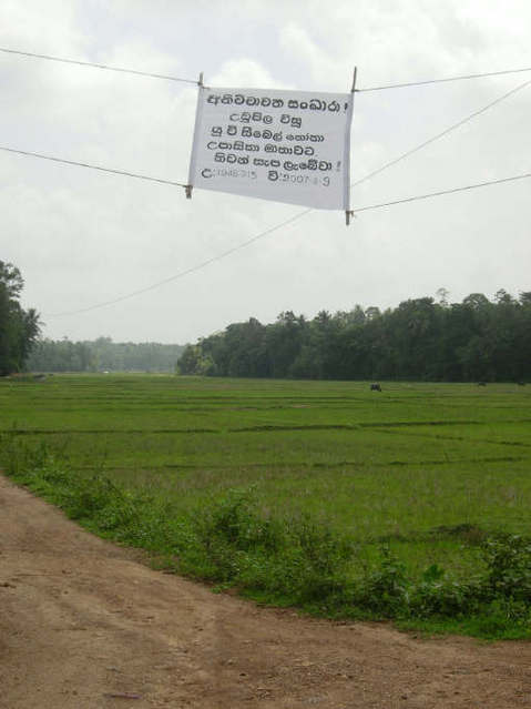Sign in Sinhalese marking the start of the path alongside the paddy field