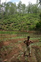 #7: Local farmer standing in the paddy field, 25 m south of the CP