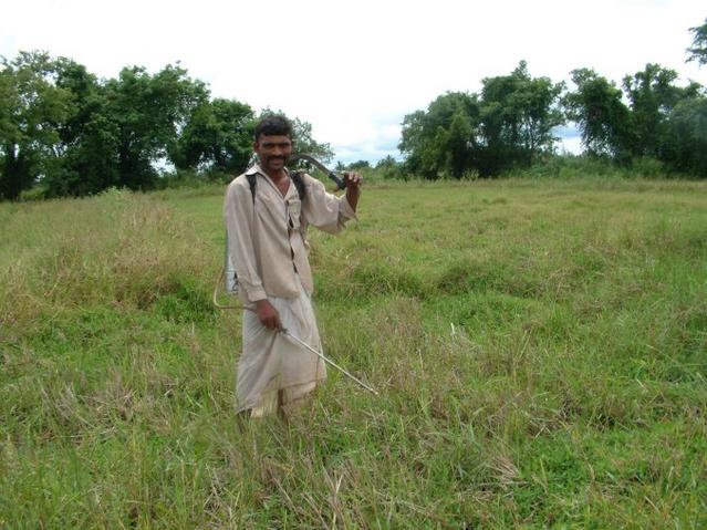 Helpful but bemused farmer