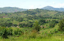 #2: Mahagi landscape