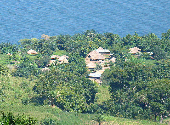 The shore of Lake Albert