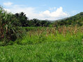 #2: Looking North from the confluence