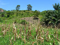 #3: Looking East from the confluence