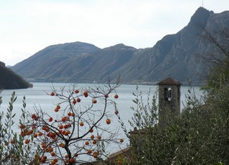 #1: The Confluence seen from Gandria