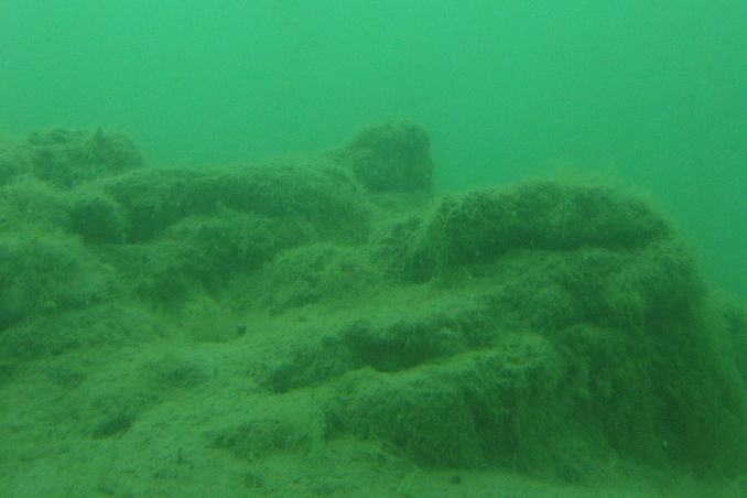 The Confluence in 5 m below water surface