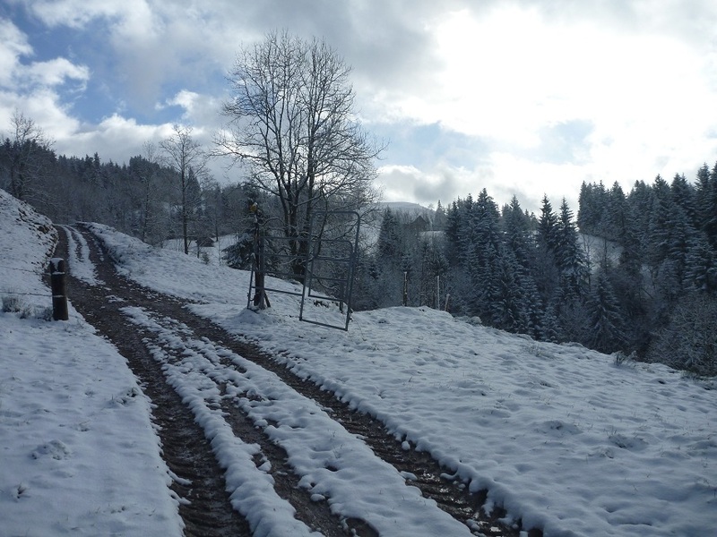 Surroundings of the confluence