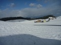 #9: Farmers houses on the way to the confluence