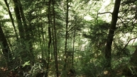 #5: View to west