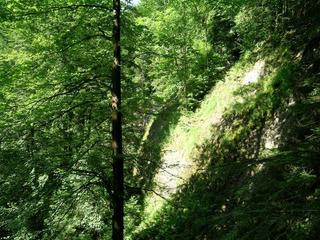 #1: Confluence from the edge of the river gorge (north - downstream)